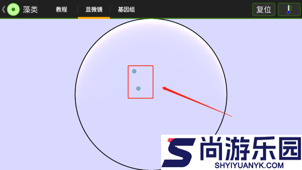 细胞实验室汉化版游戏下载