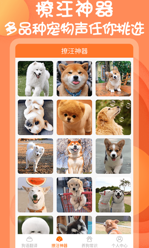 小铃铛狗语翻译器手机版下载