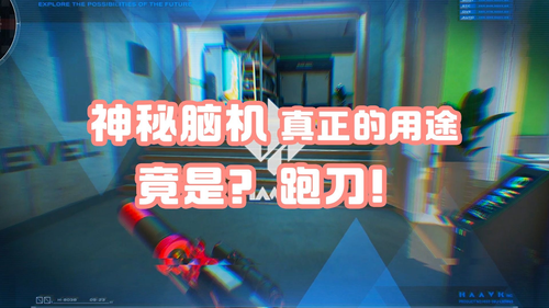 三角洲行动本周脑机容器是什么-三角洲行动脑机今天能扫什么