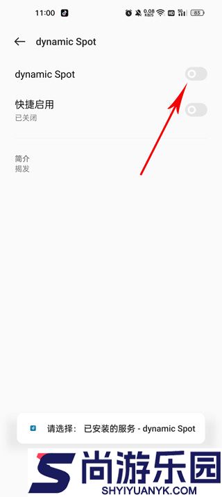 dynamicspotpro高级解锁版下载