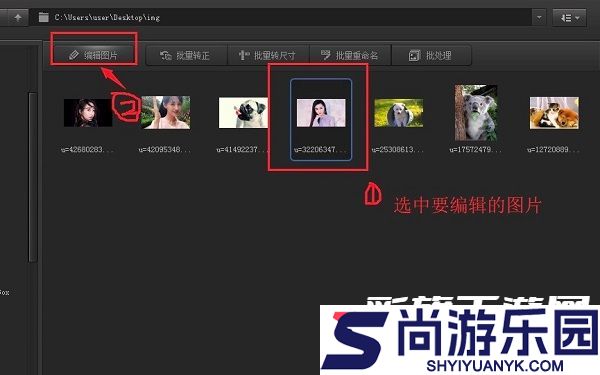 光影魔术手稳定版下载
