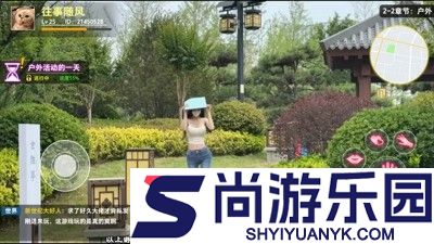 寸心之争破解版下载