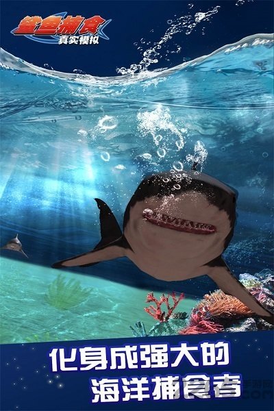 真实模拟鲨鱼捕食手机版下载