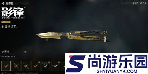 三角洲行动幸运鸟窝免费拿刀皮是不是真的