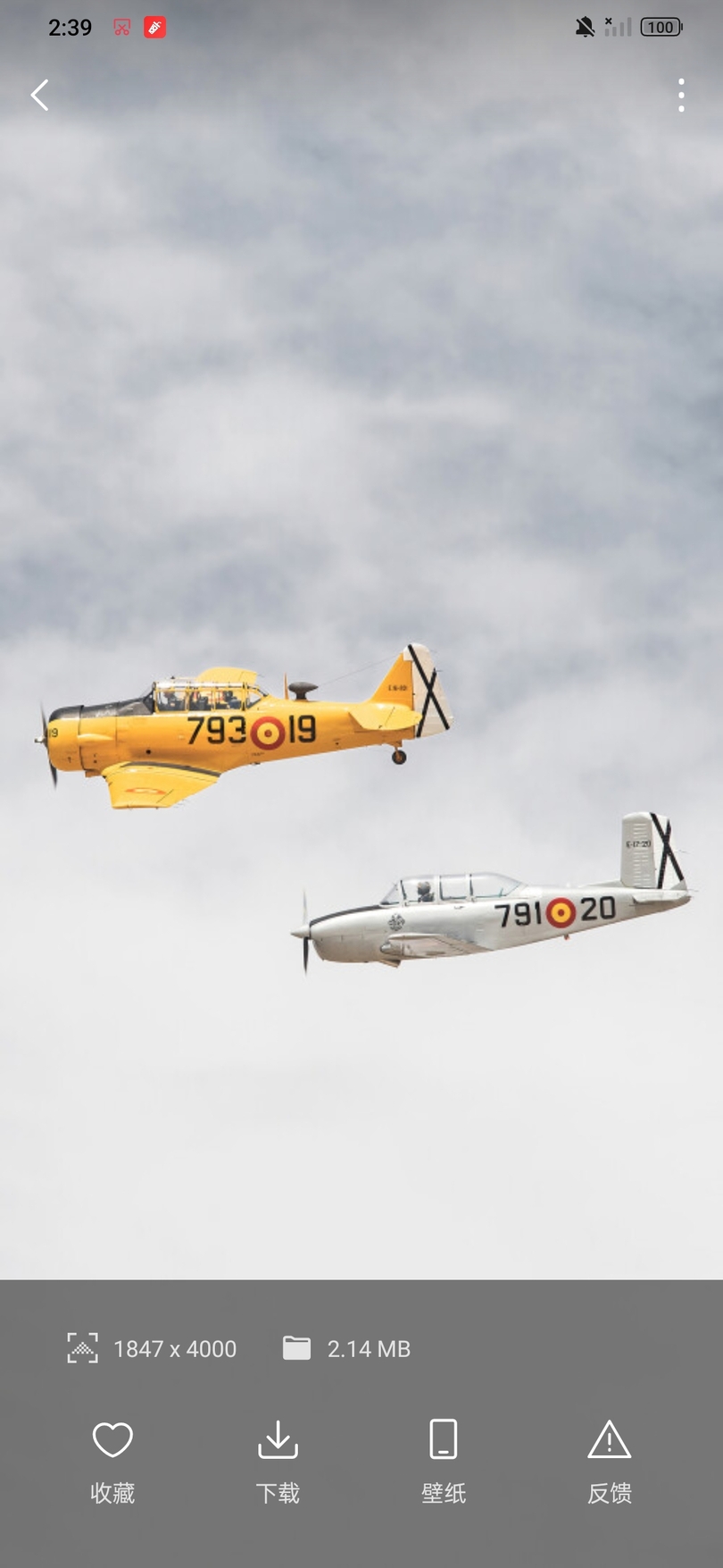 汽水壁纸高清下载