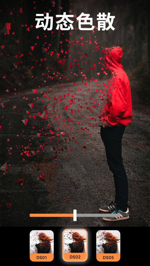 pixaloop免费版中文下载