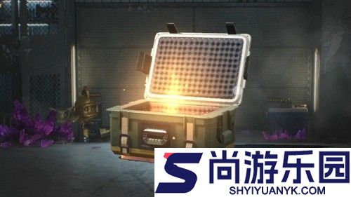 和平精英海岛黑箱子能开出来什么枪