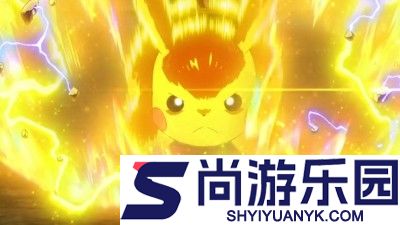 宠物集结最强阵容推荐