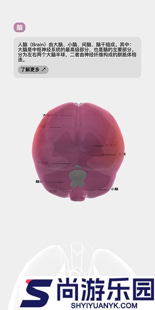 生命人体模拟器下载中文版