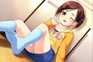 侄少女(原PSP版)汉化下载