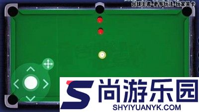 台球世界延长线辅助器免费版