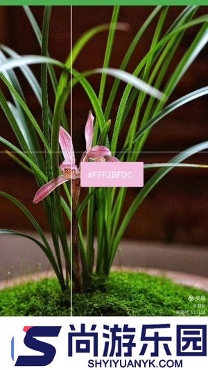 兰微工具盒子安卓版下载