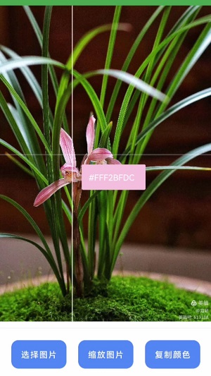 兰微工具盒子安卓版下载