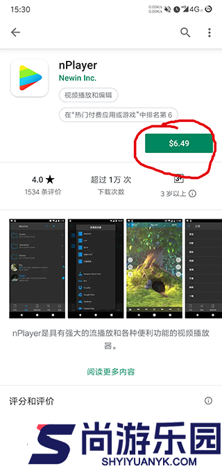 nplayer电视版下载