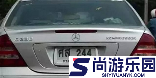 图寻手机版下载