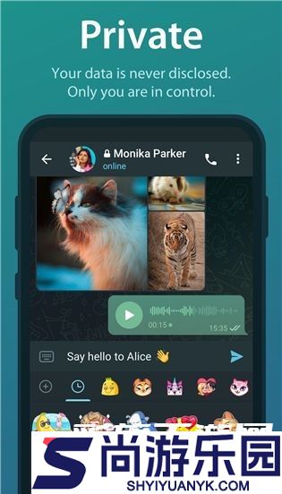 纸飞机telegeram手机版下载安装