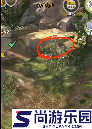 夺笋高手金钗石斛怎么触发