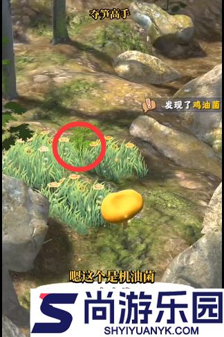 夺笋高手金钗石斛怎么触发