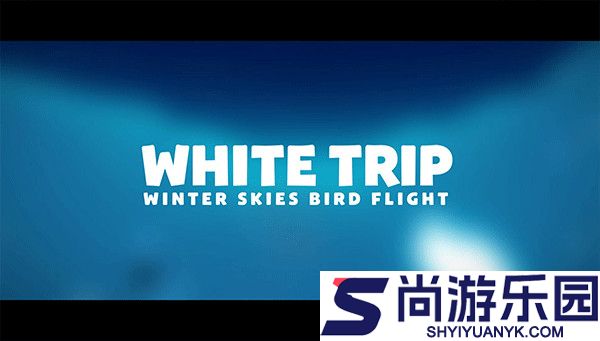 纯白之旅游戏下载