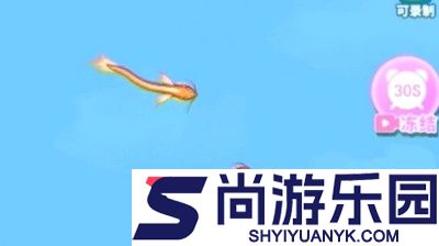 召唤神龙进化兑换码大全