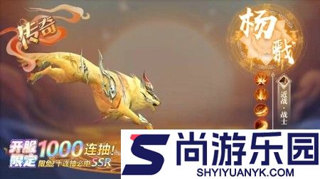 天天酷飞伙伴搭配攻略