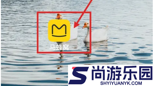 马蜂窝旅游最新版下载