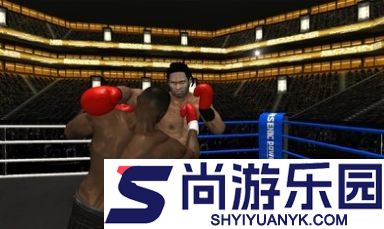 拳击之夜4手机版下载