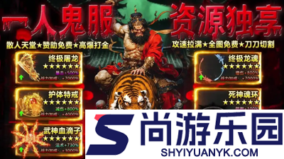 盲盒传奇职业选择