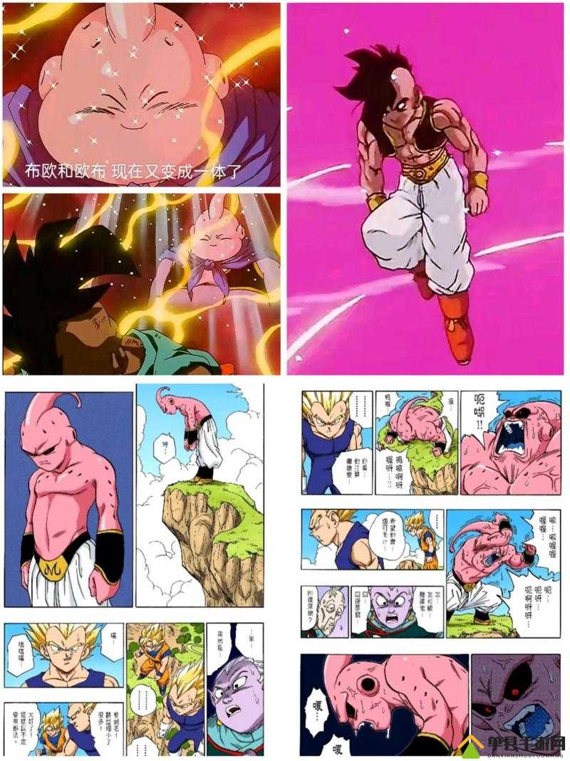龙珠斗士Z深度解析，布欧必杀技全揭秘，精通出招表助你格斗场称霸之路