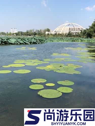 吹花嚼蕊弄冰弦多情情寄阿谁边——悠悠情思漫心间