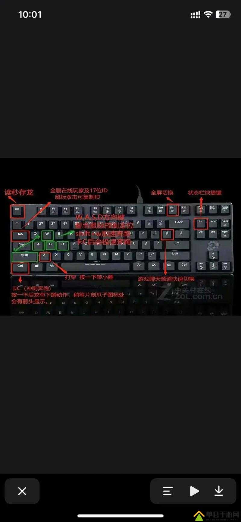 岛（The Isle）游戏全面解析，各按键功能及详细操作指南