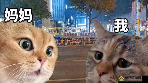 猫咪社区 www 高清视频在线观看电影幕后花絮精彩揭秘