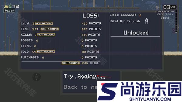 雨中冒险手机版下载