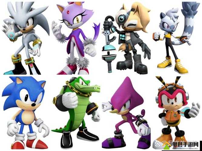 索尼克力量第十六关详细攻略，掌握技巧攻克首都难关的必胜策略