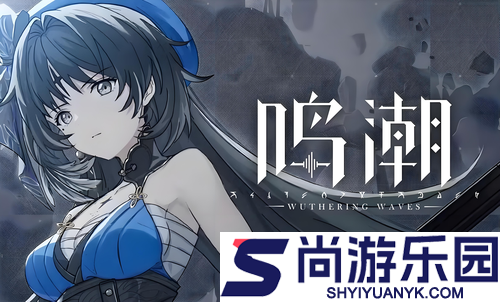 鸣潮最强常驻五星