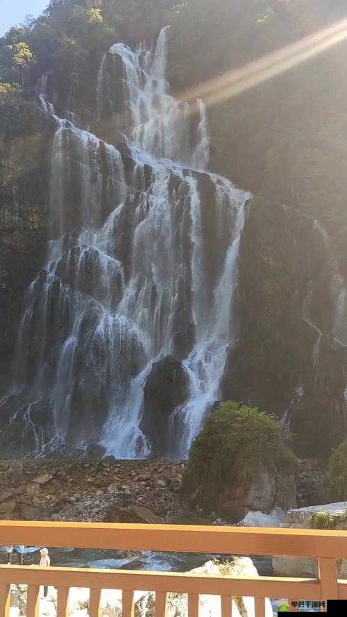 水帘白瀑如饥似渴一丛金黄排名再次被抢：背后的惊人真相