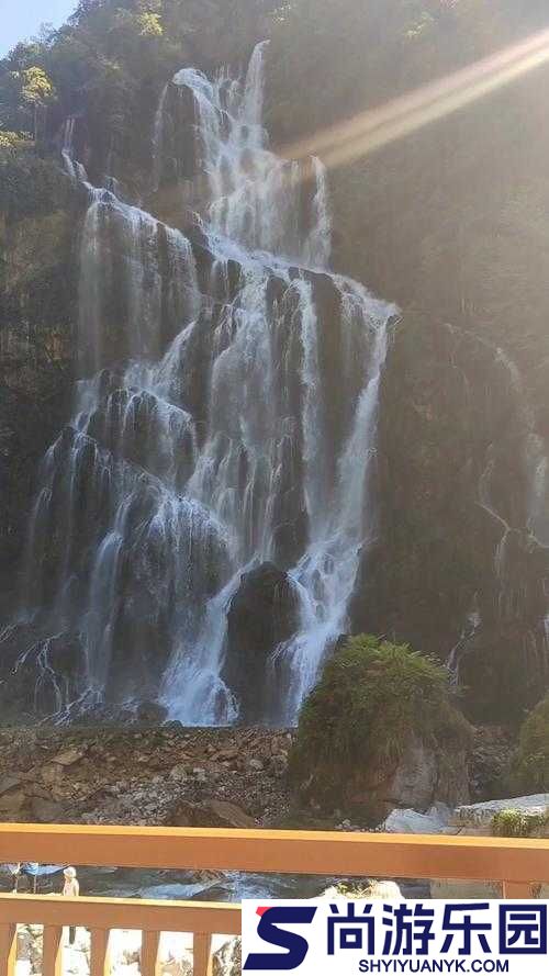 水帘白瀑如饥似渴一丛金黄排名再次被抢