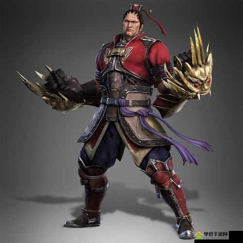 真三国无双8游戏深度解析，丁奉角色背景、技能与特点全介绍