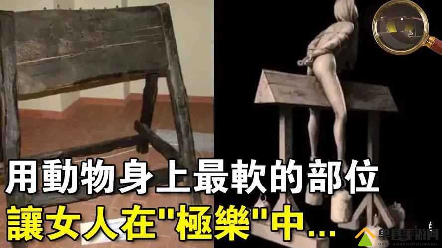女 M 跪着趴着刑房调教 91：揭秘性虐背后的心理与生理奥秘