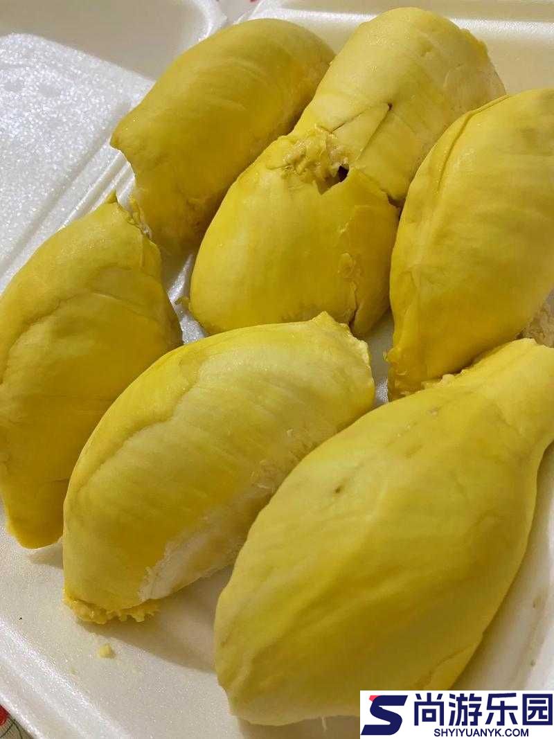 榴莲草莓芒果菠萝香蕉幸福宝带来的独特美味体验