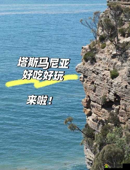 61zzz ：开启全新精彩之旅不容错过