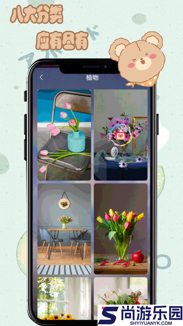 元气小熊壁纸最新版下载