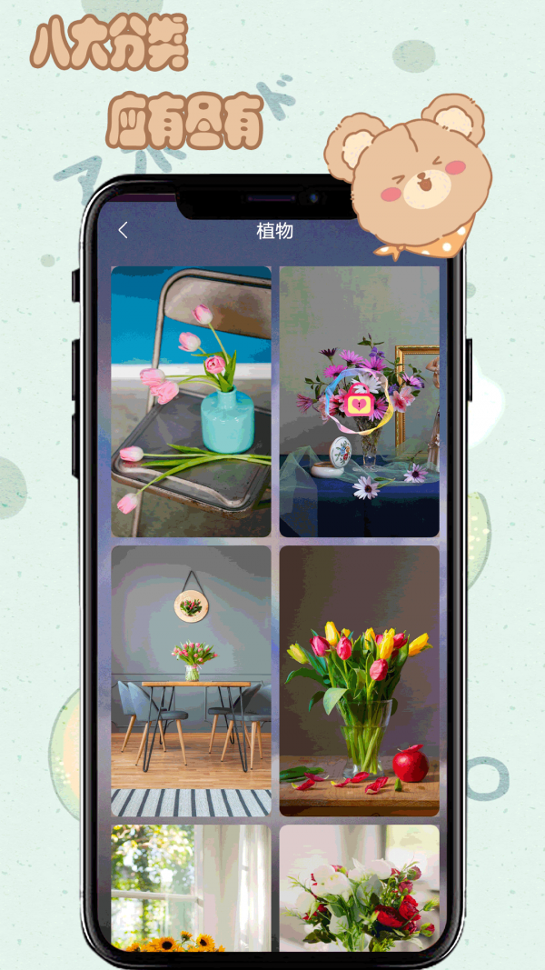 元气小熊壁纸最新版下载