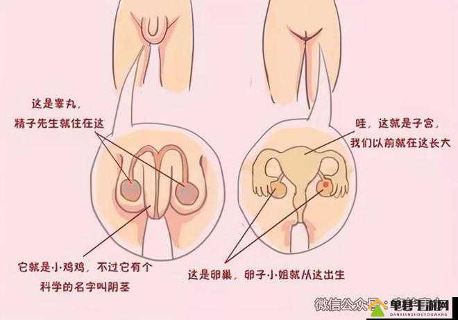 我强烈渴望看到女生坤巴的具体位置