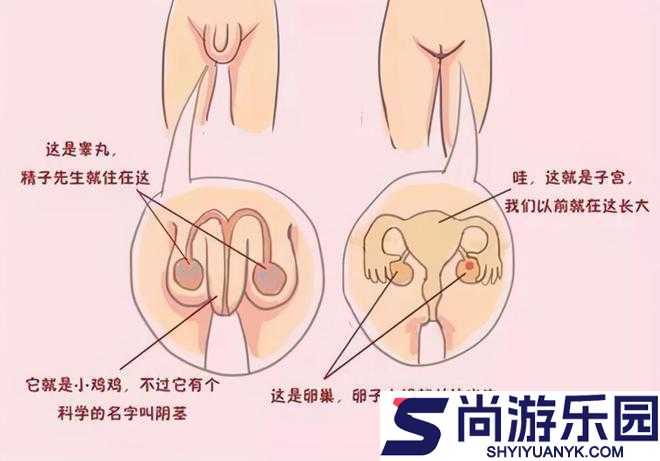 我强烈渴望看到女生坤巴的具体位置