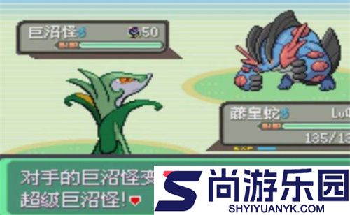 口袋妖怪究极绿宝石5.5内置修改器下载