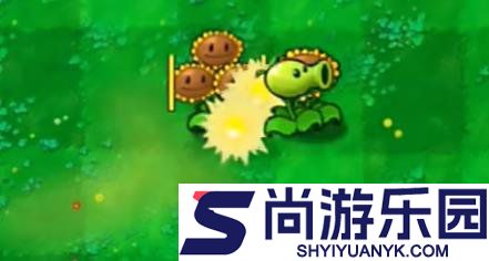 植物大战僵尸嫁接版手机下载