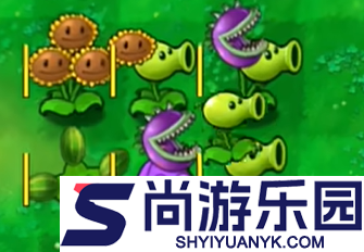 植物大战僵尸嫁接版手机下载