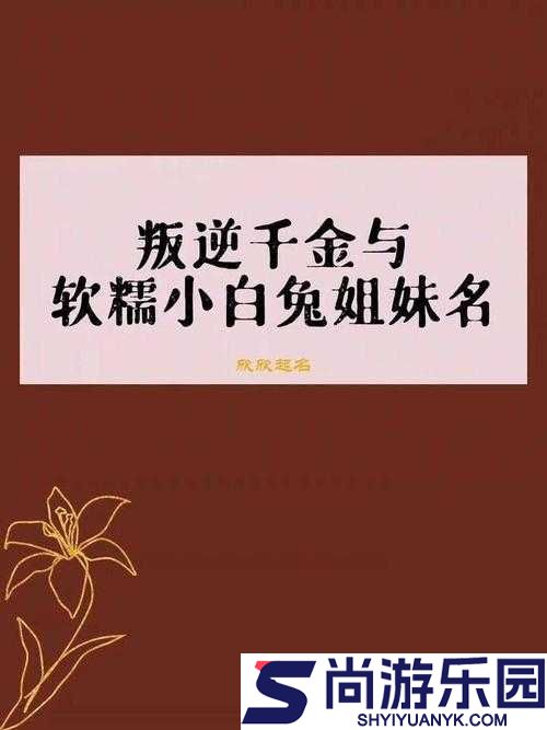爆炒通感双胞胎在哪里看