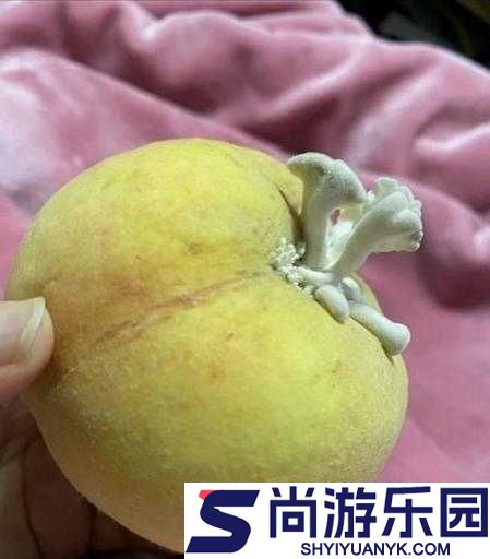 几几寒进桃子里